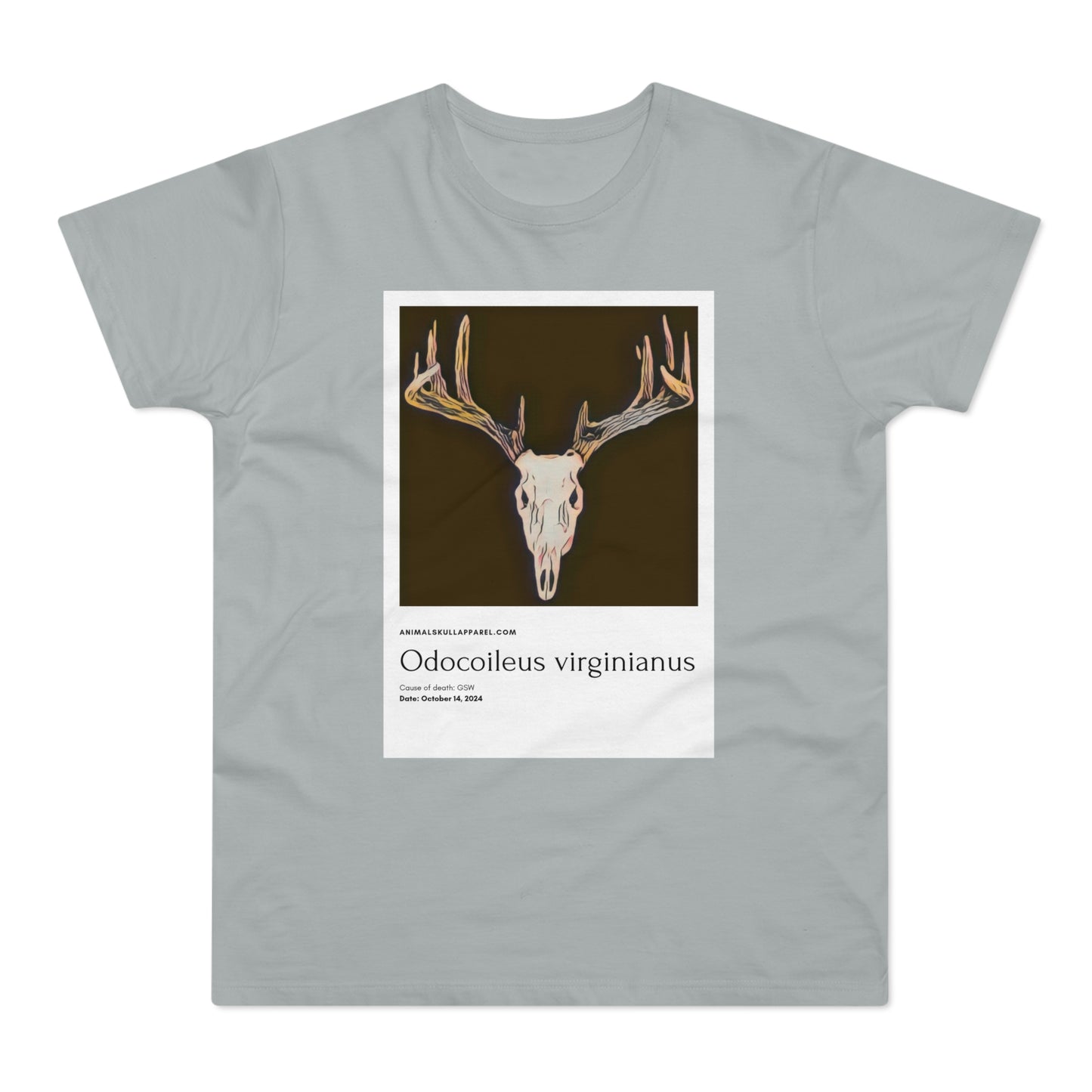 Odocoileus Virginianus - Valkohäntäpeura
