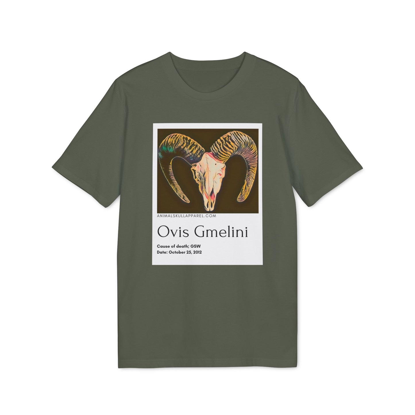 Ovis Gmelini - Mouflon