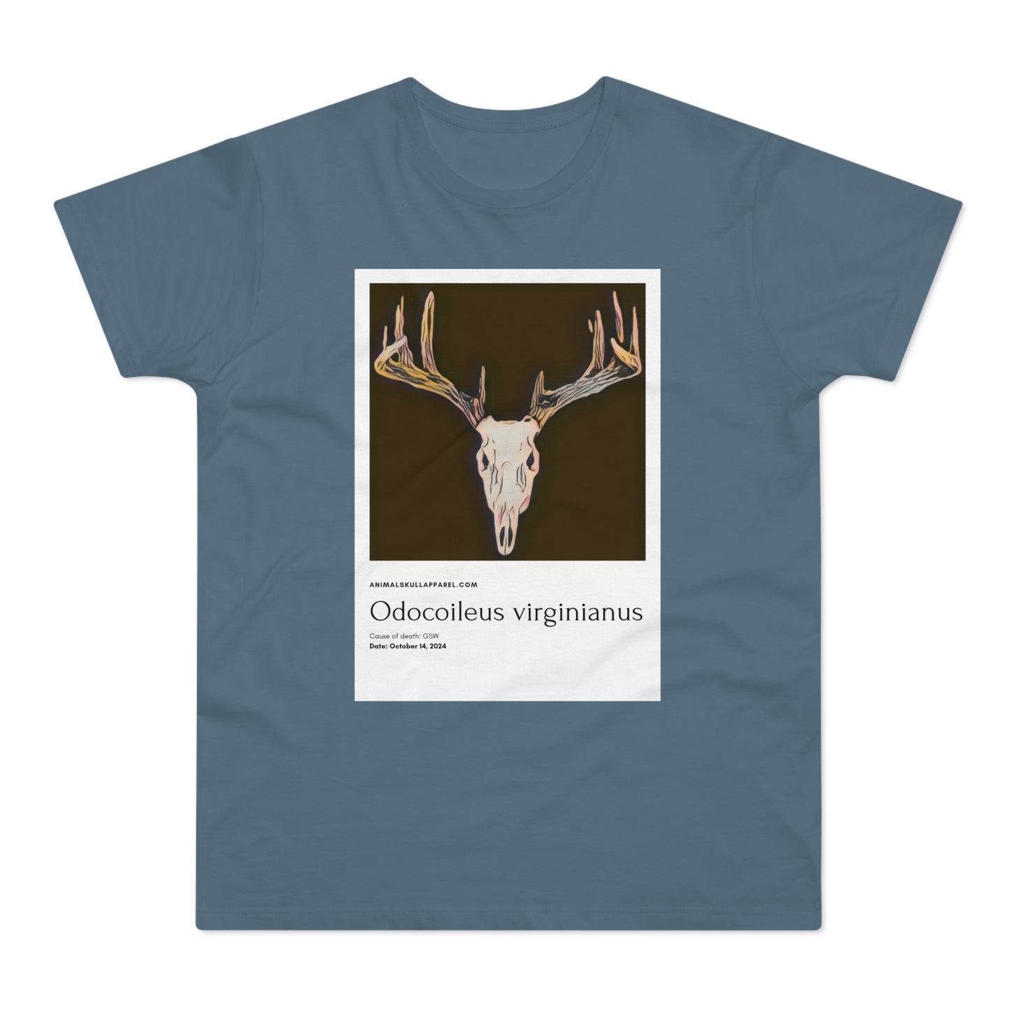 Odocoileus Virginianus - Valkohäntäpeura