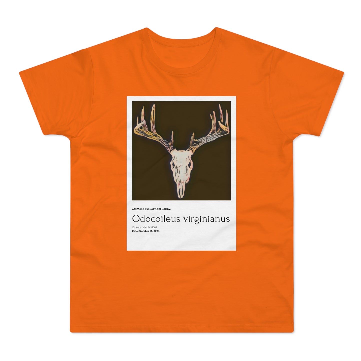 Odocoileus Virginianus - Valkohäntäpeura