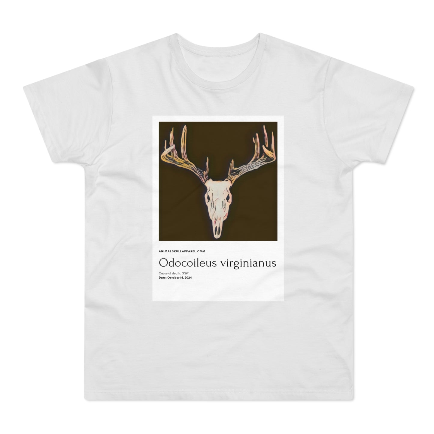 Odocoileus Virginianus - Valkohäntäpeura