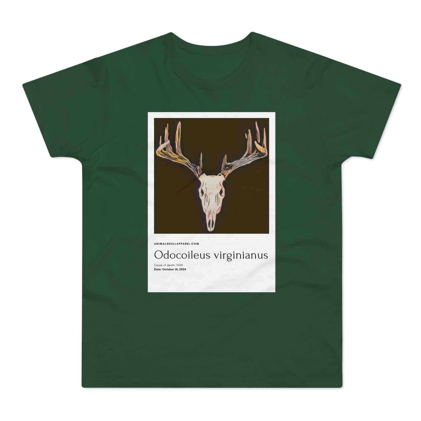 Odocoileus Virginianus - Valkohäntäpeura