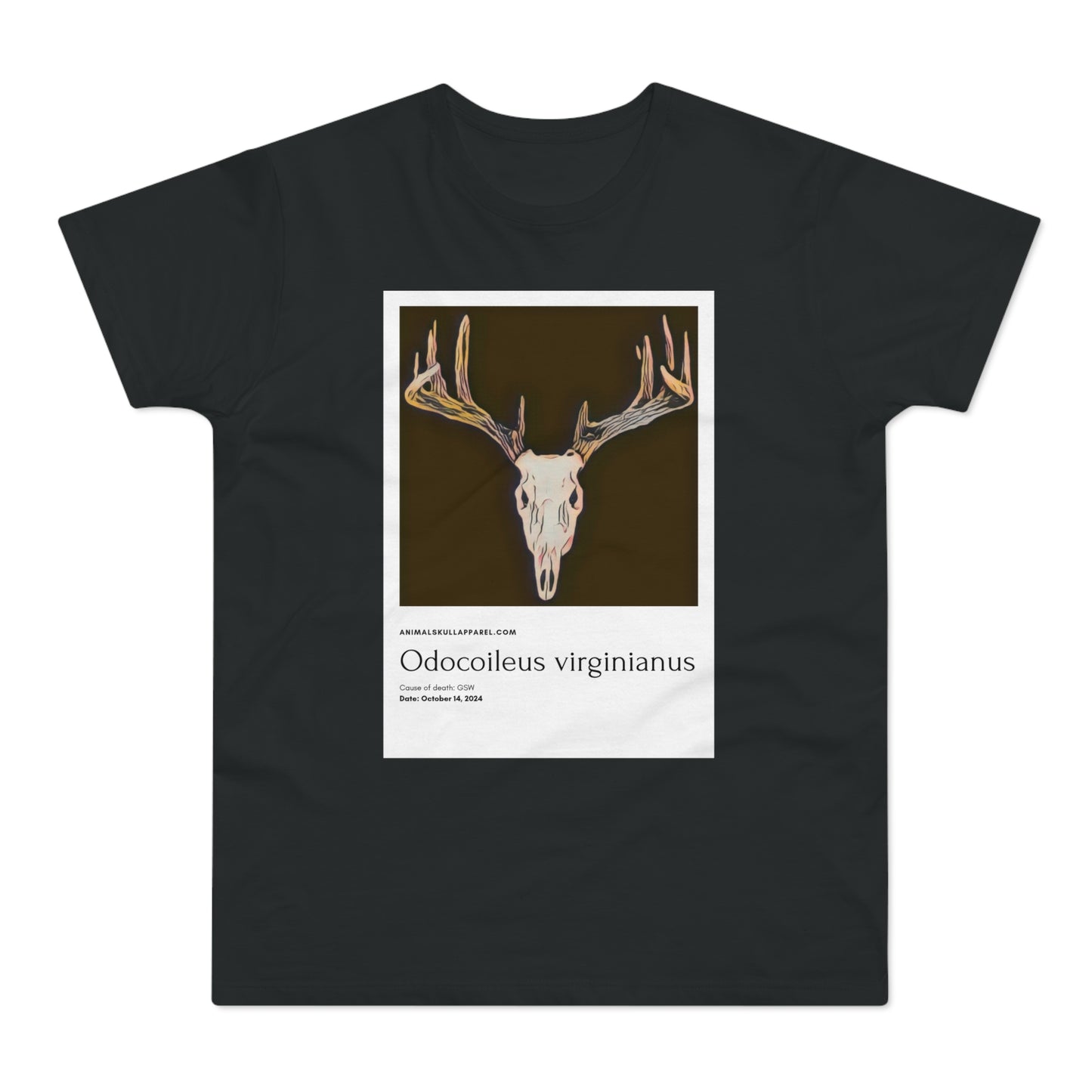 Odocoileus Virginianus - Valkohäntäpeura