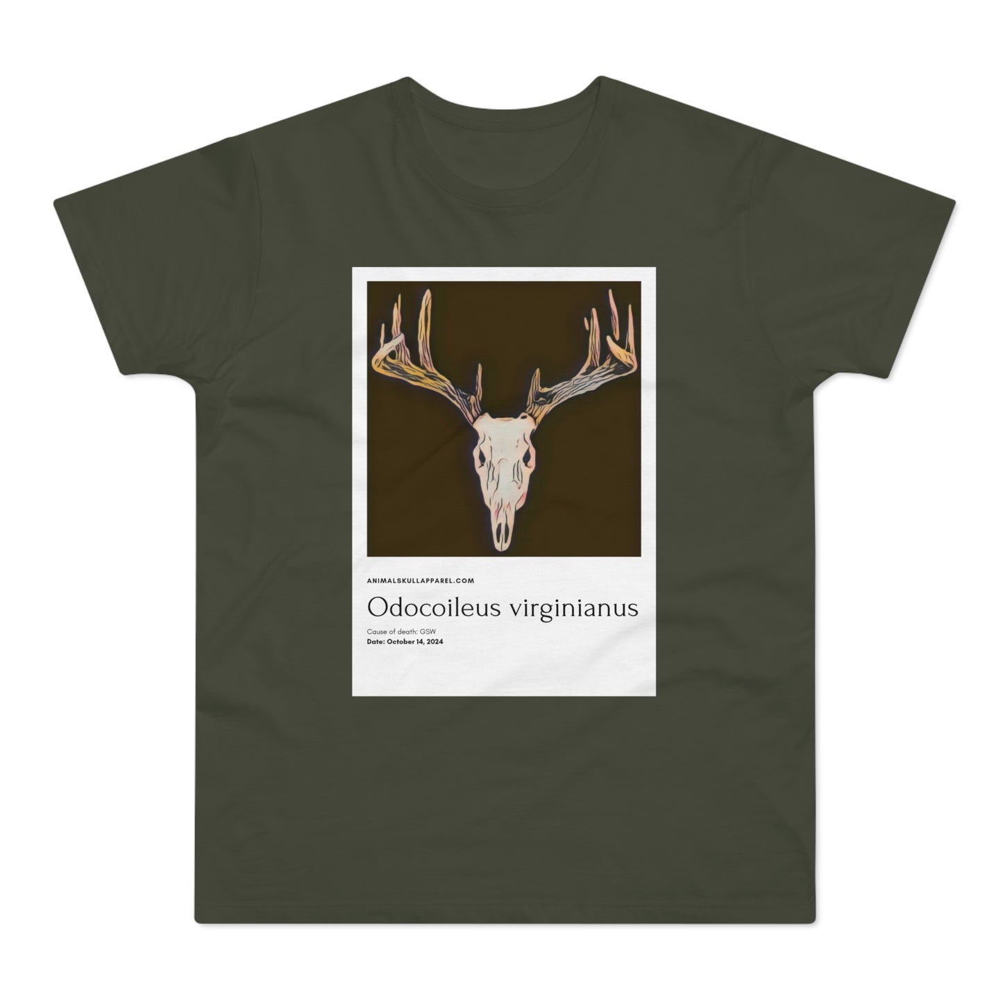 Odocoileus Virginianus - Valkohäntäpeura