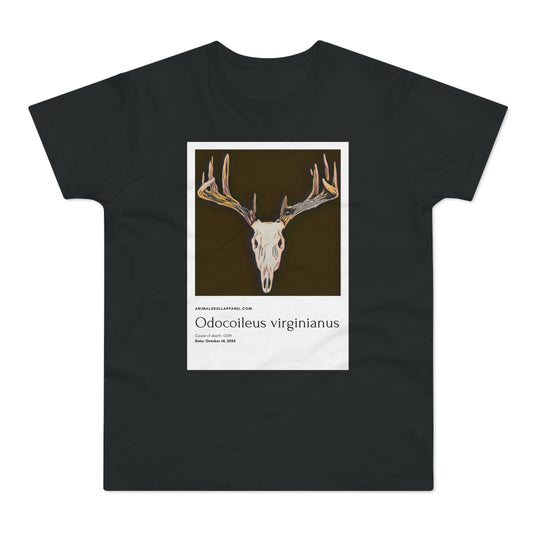 Odocoileus Virginianus - Valkohäntäpeura
